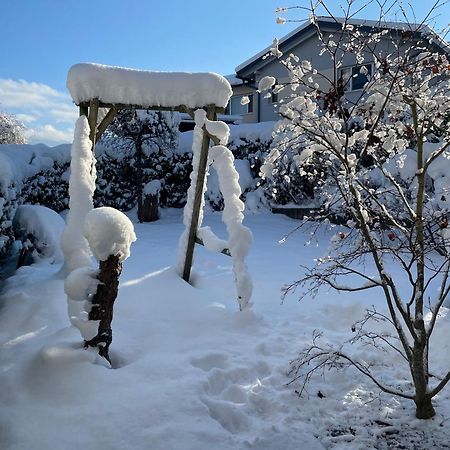 "Ferienhaus Am Mondsee" Mit Direktem Schafbergblick Im Salzkammergut Bei Salzburg 外观 照片