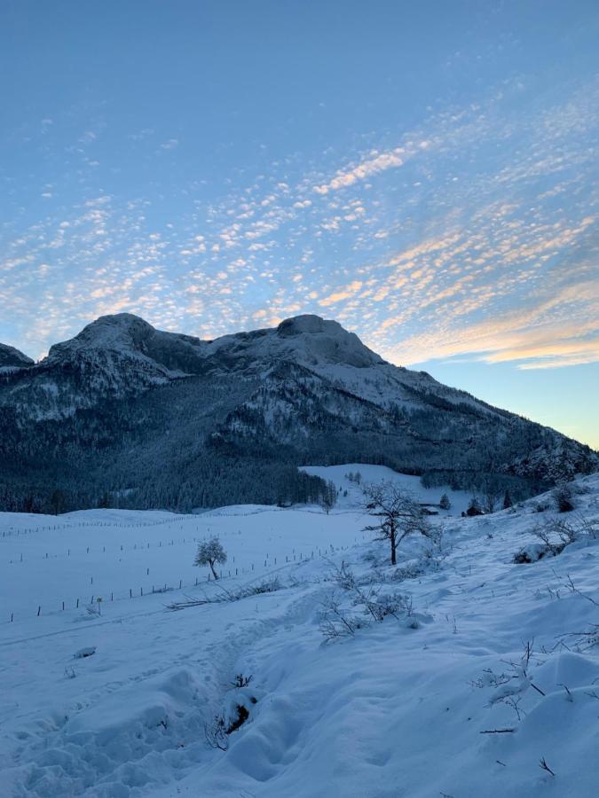 "Ferienhaus Am Mondsee" Mit Direktem Schafbergblick Im Salzkammergut Bei Salzburg 外观 照片
